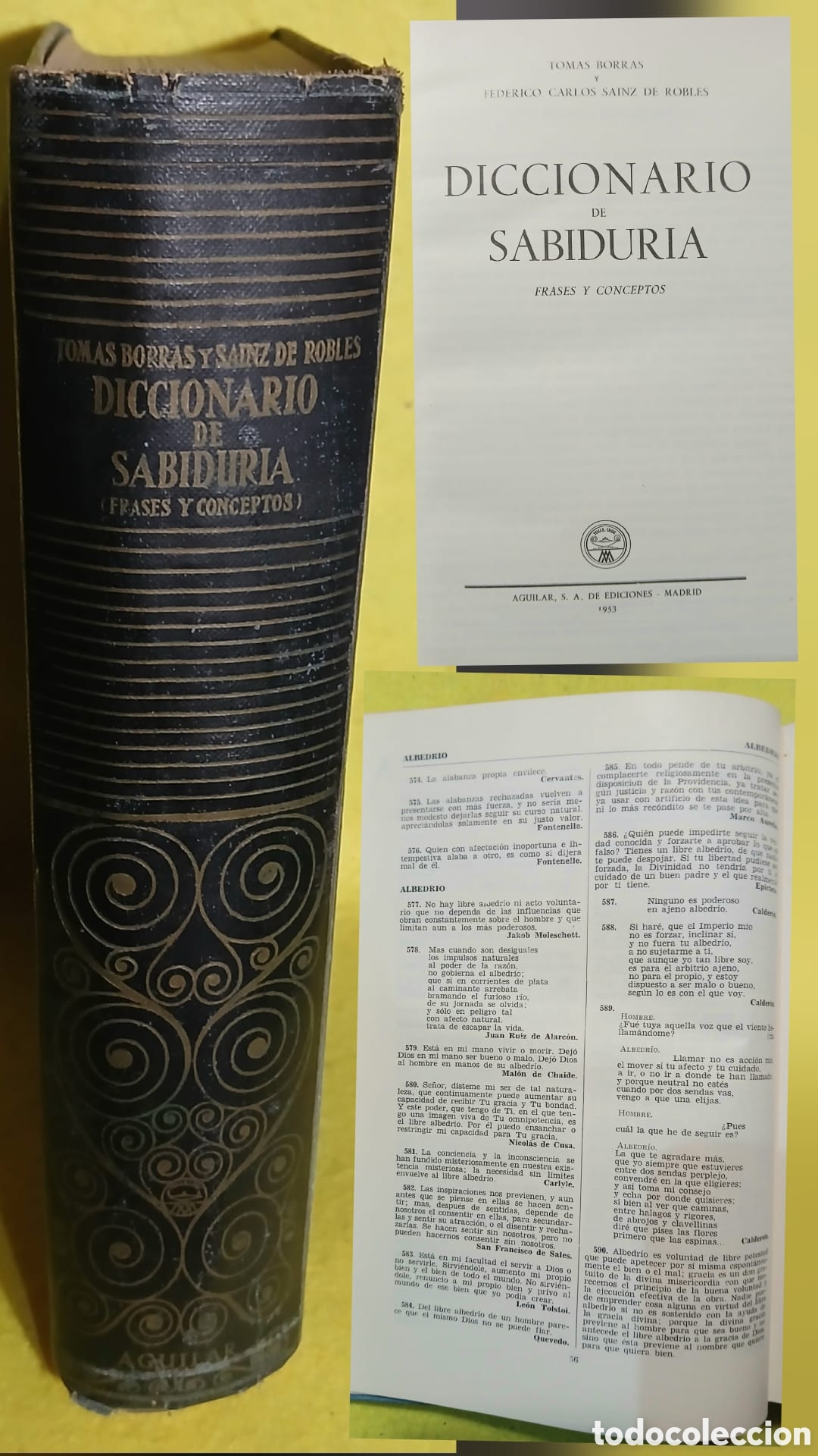 Libros: Diccionario de sabiduria - Foto 1