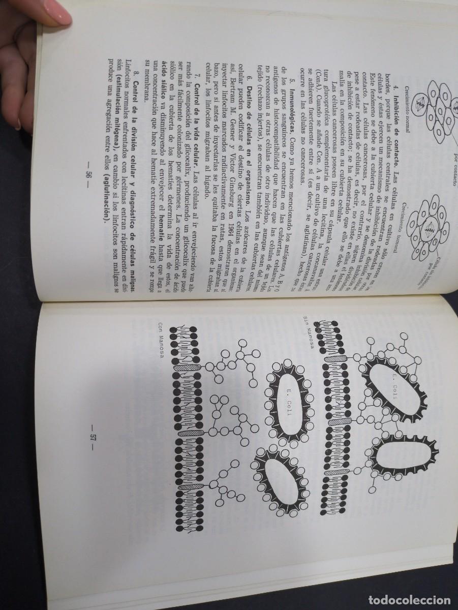 Libros: Biolog&iacute;a Celular, Eliseo Carrascal 3 edicion salamanca 1985 - Foto 3
