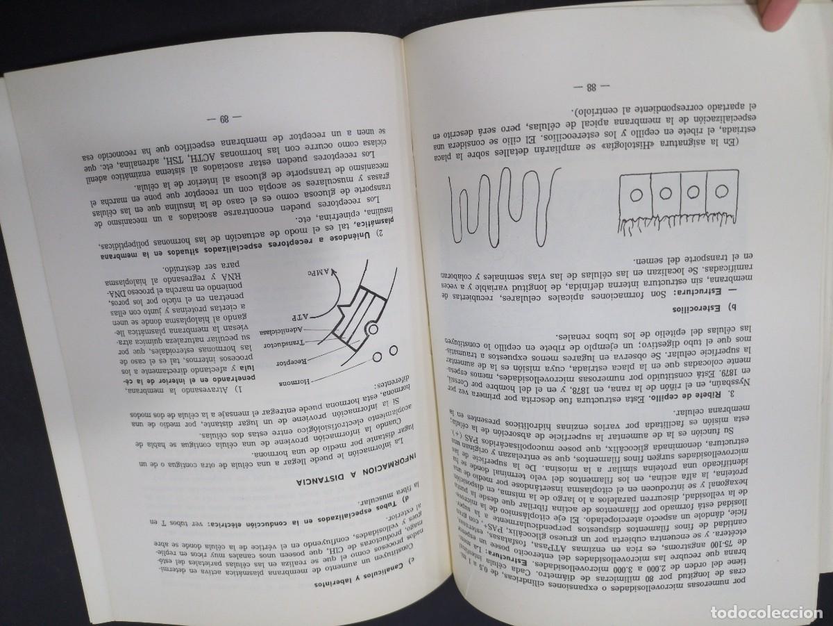 Libros: Biolog&iacute;a Celular, Eliseo Carrascal 3 edicion salamanca 1985 - Foto 4
