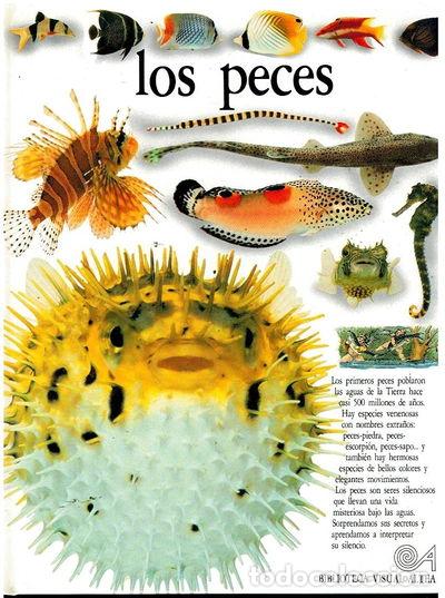 Libros: Los peces- 9788437237299 - Foto 1