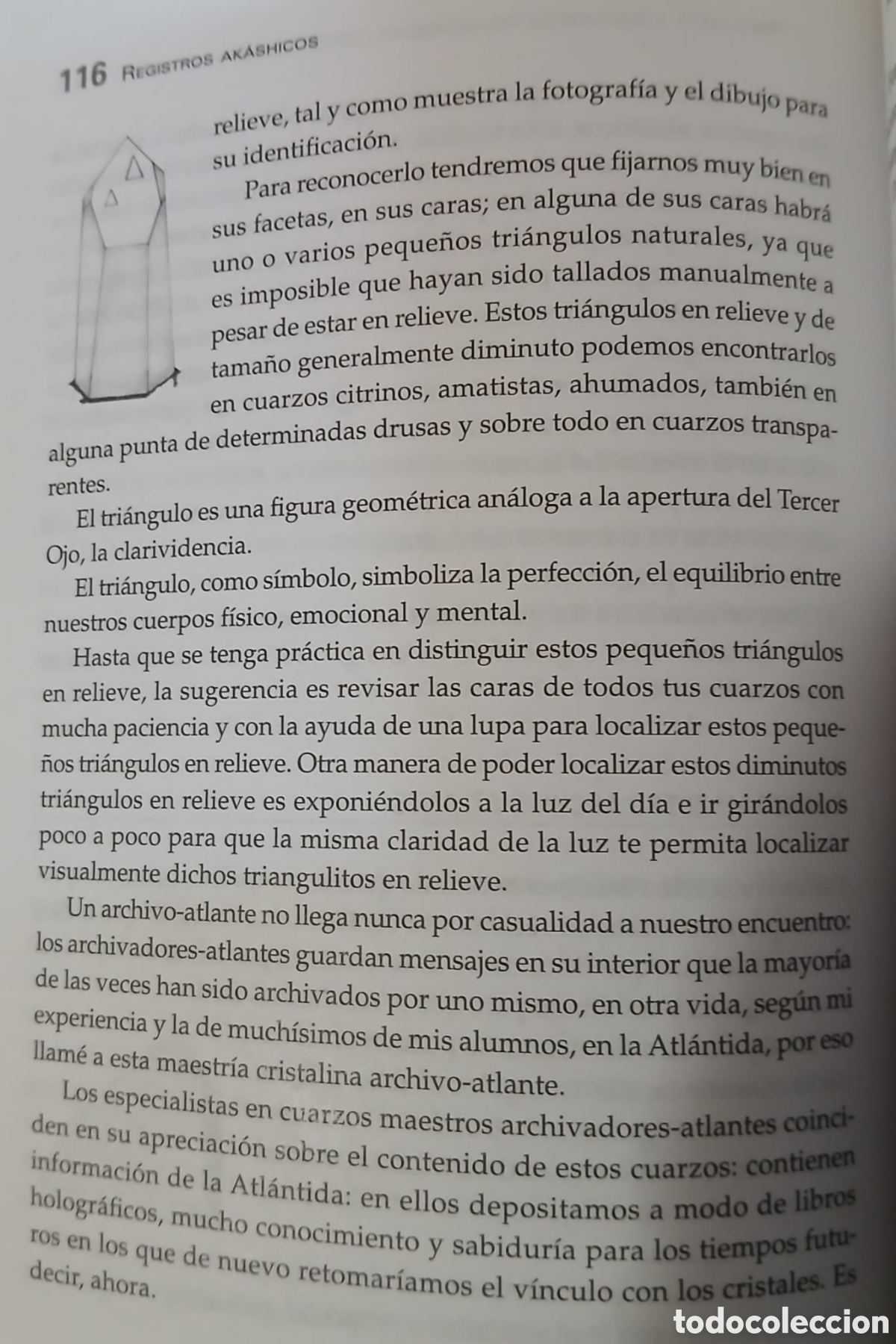 Libros: Registros Akh&agrave;sicos....... - Foto 7