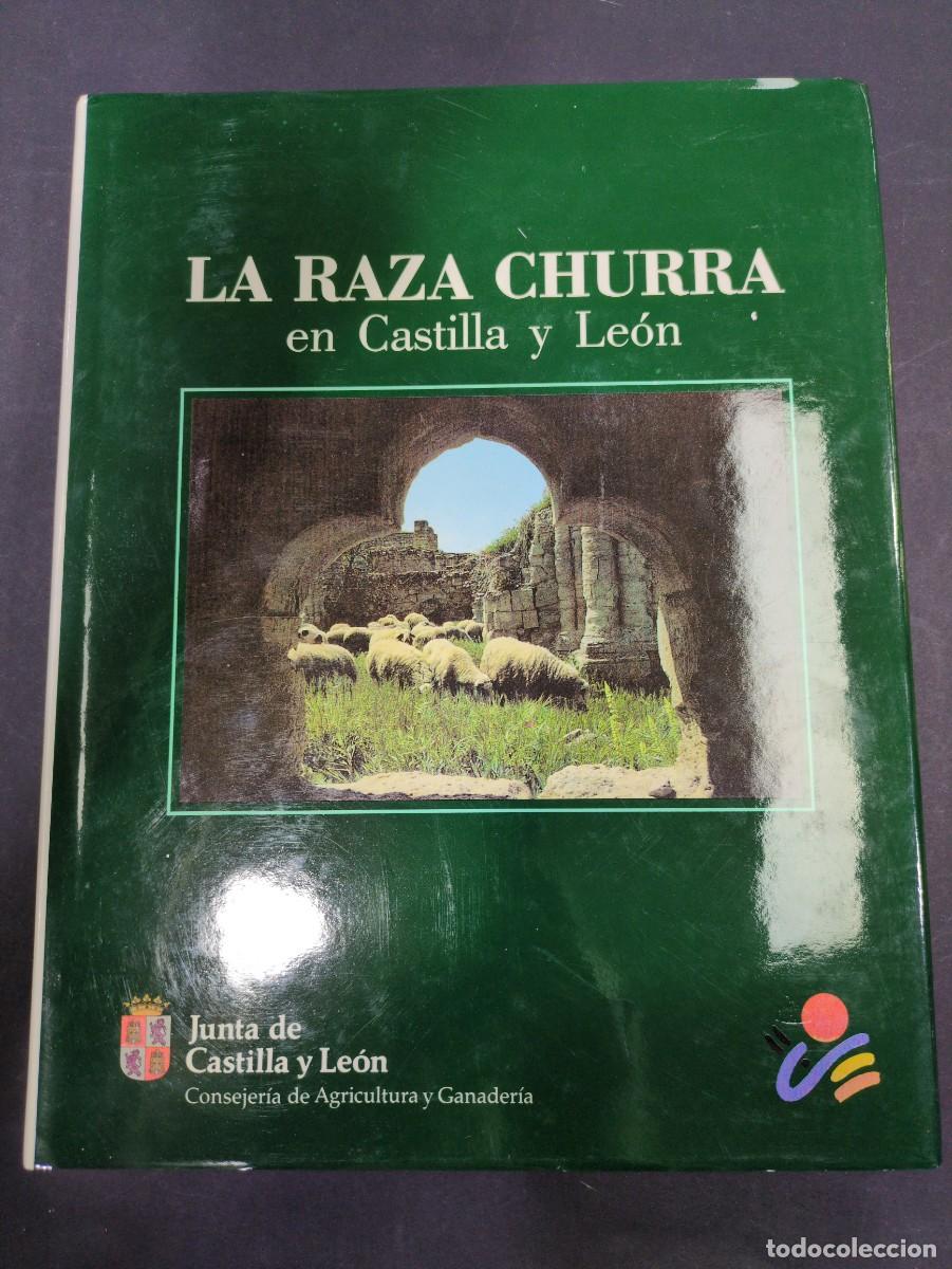 Libros: La raza churra en Castilla y Le&oacute;n, Junta de Castilla y Le&oacute;n, 1991 - Foto 1