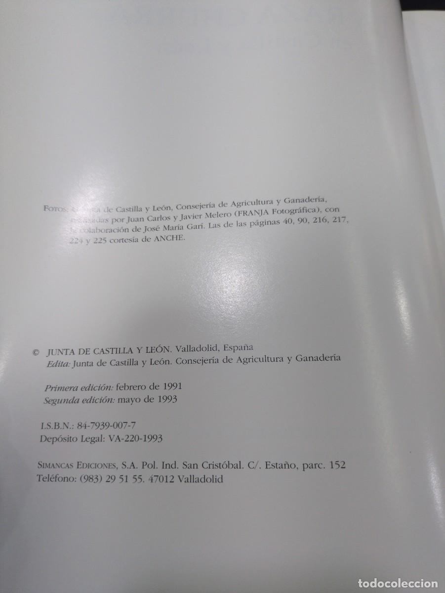 Libros: La raza churra en Castilla y Le&oacute;n, Junta de Castilla y Le&oacute;n, 1991 - Foto 2