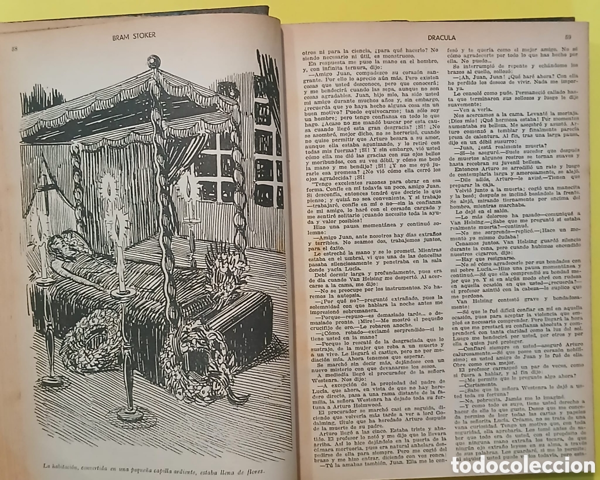 Libros: Dr&agrave;cula, Bram Stoker y varios - Foto 8