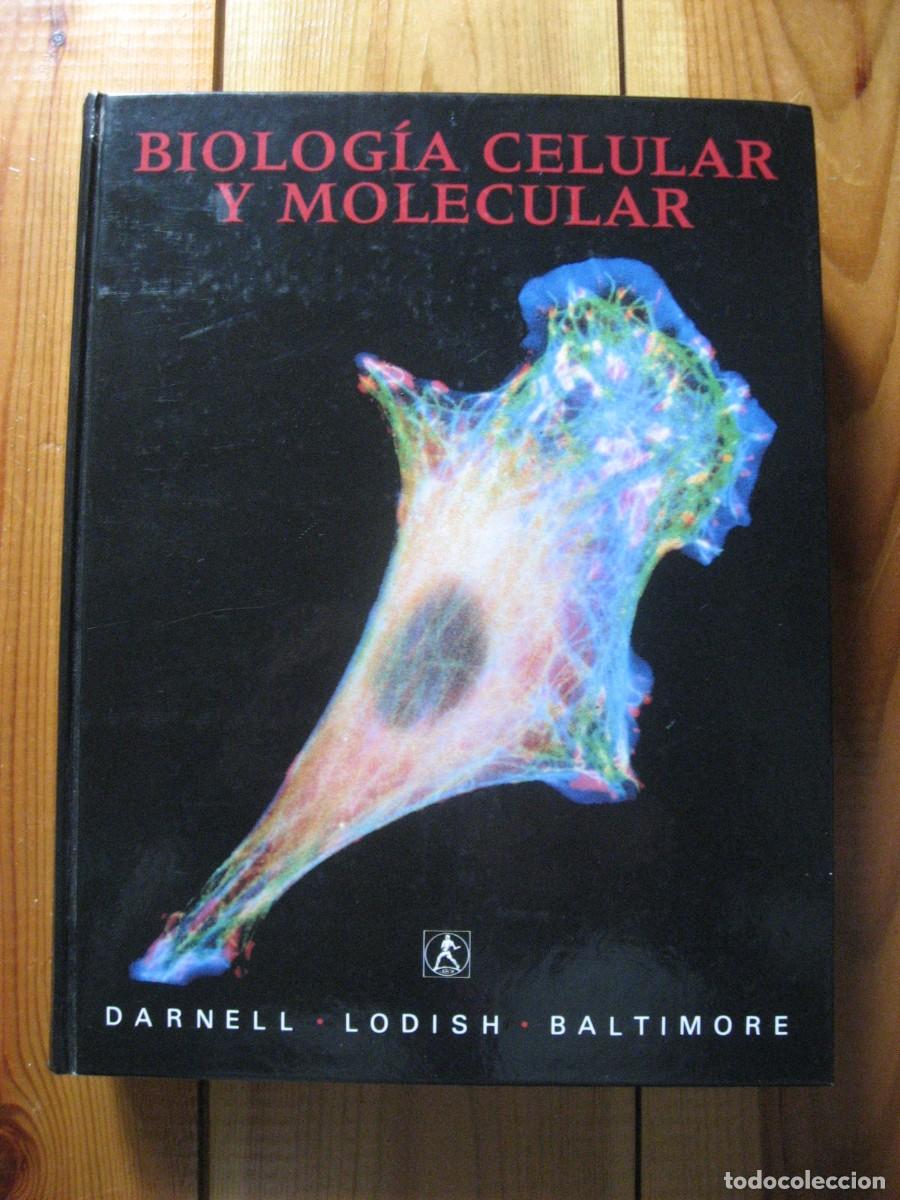 Libros: BIOLOG&Iacute;A CELULAR Y MOLECULAR - J. Darnell, H. Lodish, D. Baltimore - Foto 2