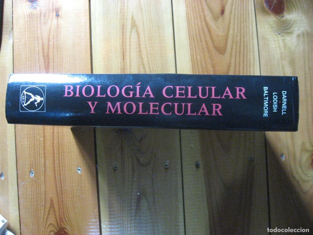 Libros: BIOLOG&Iacute;A CELULAR Y MOLECULAR - J. Darnell, H. Lodish, D. Baltimore - Foto 3