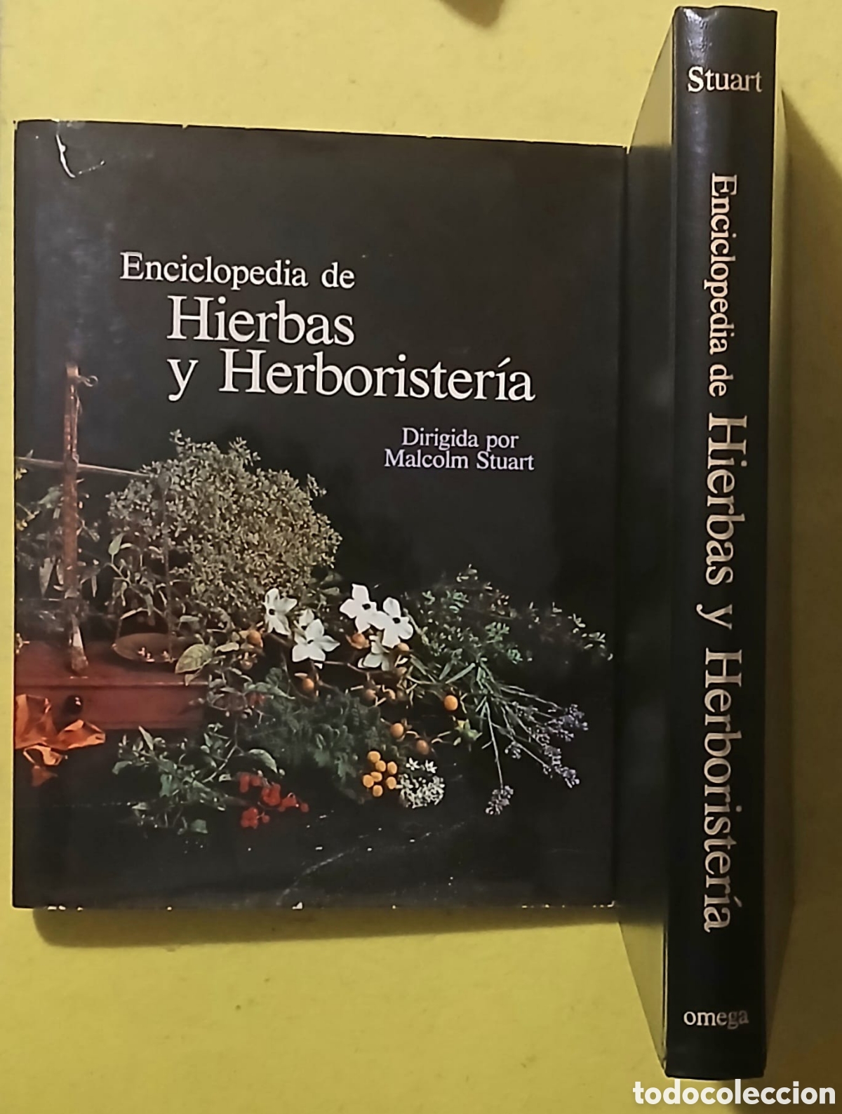 Libros: Enciclopedia de hierbas y herboristeria - Foto 2