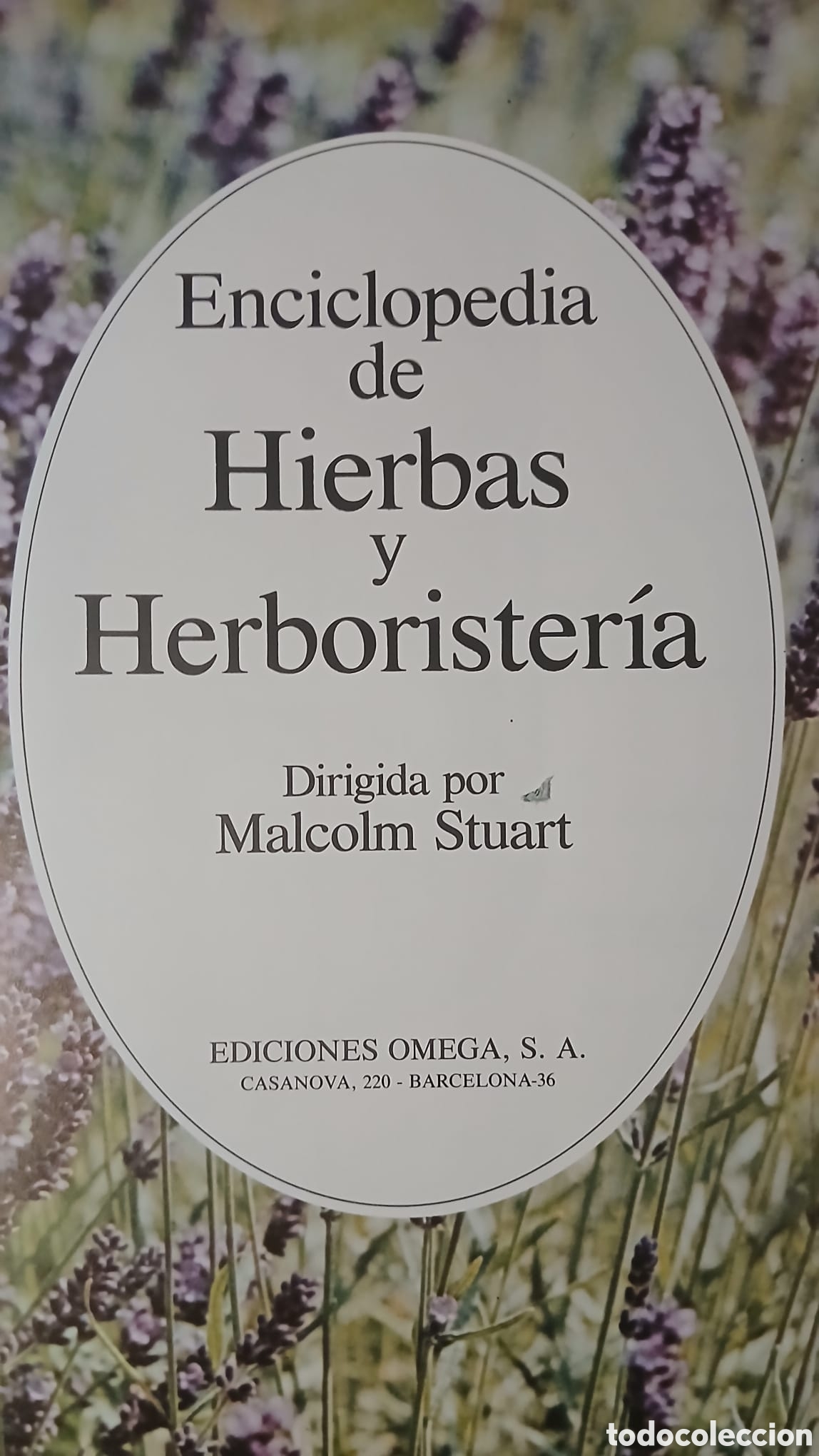 Libros: Enciclopedia de hierbas y herboristeria - Foto 3