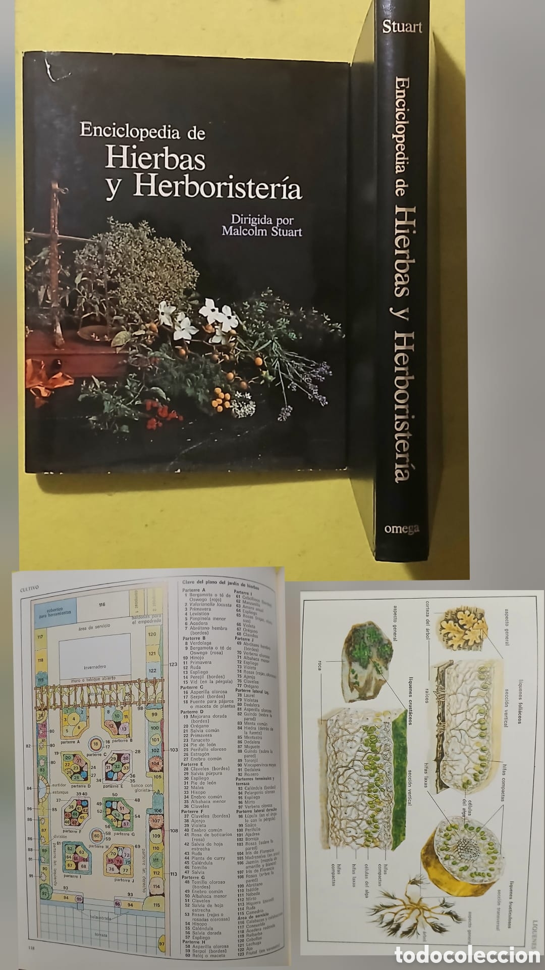 Libros: Enciclopedia de hierbas y herboristeria - Foto 1