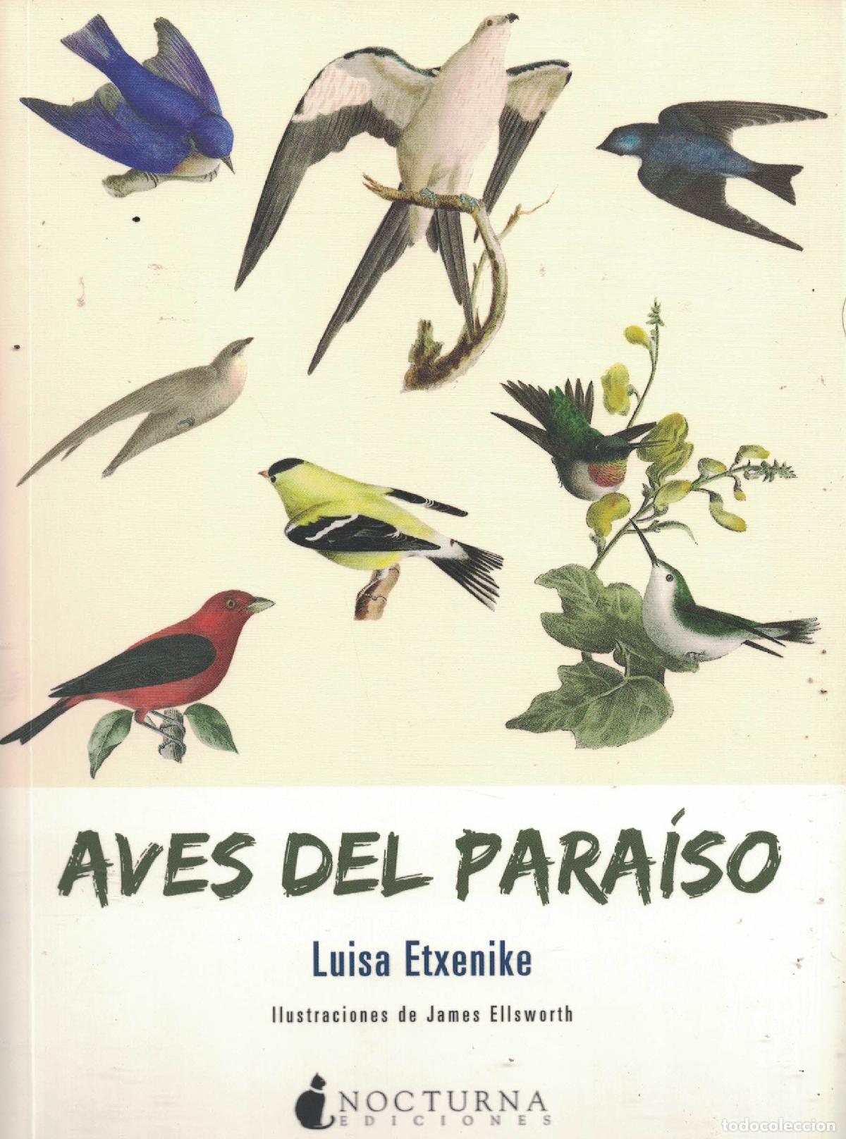 Libros: Aves del para&iacute;so - Luisa Etxenike - Foto 1
