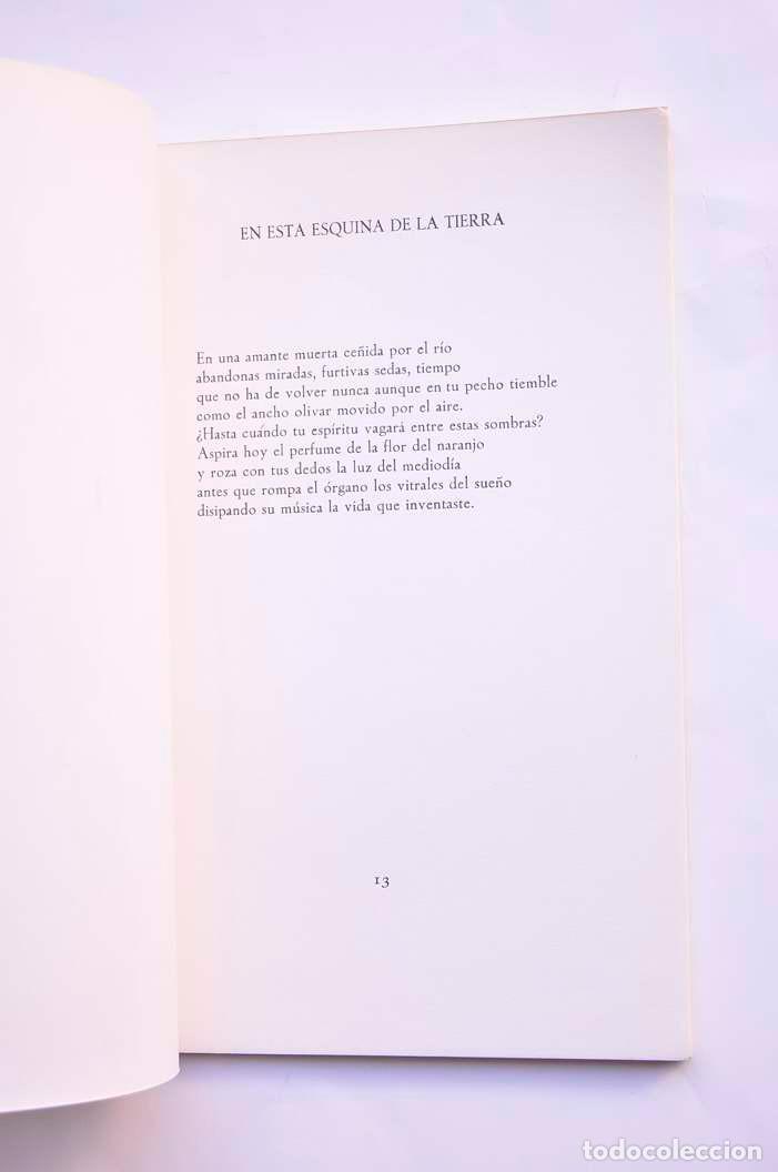 Libros: Personae - ORTIZ, Fernando - Foto 3