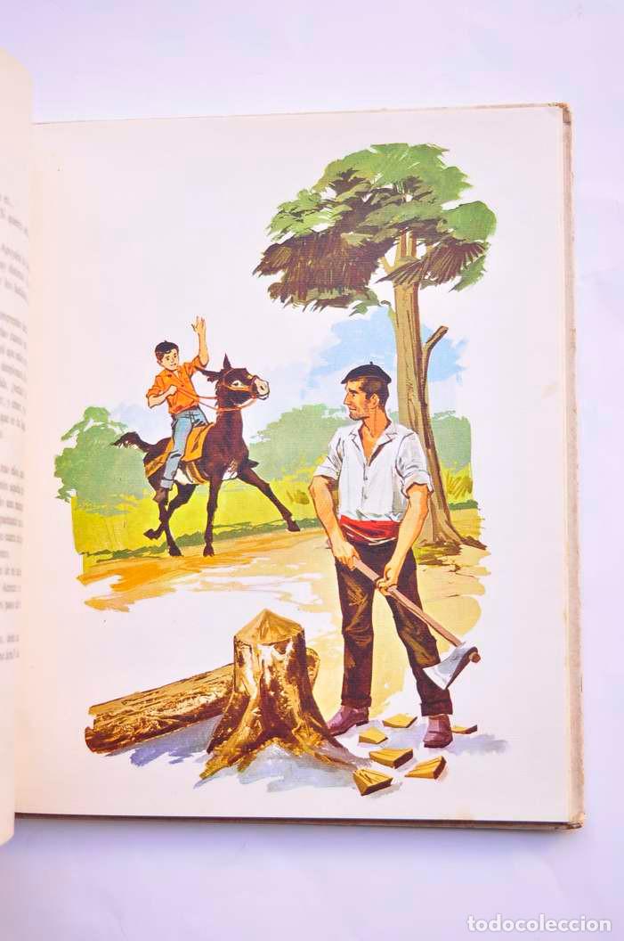 Libros: Miguel&iacute;n - AGUIRRE BELLVER, Joaqu&iacute;n - Foto 4