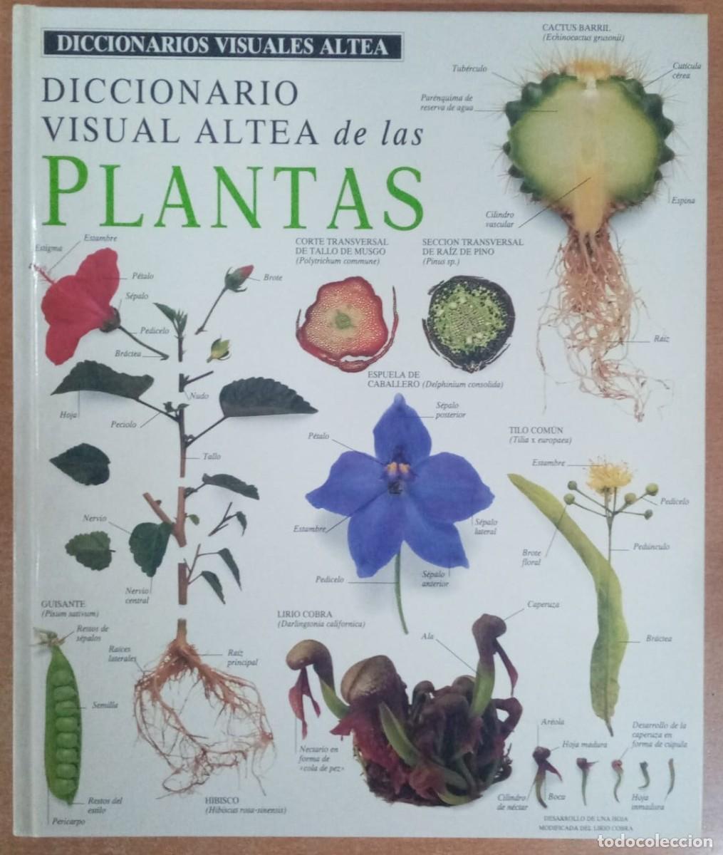 Libros: Diccionario visual altea de las plantas - VVAA - Foto 1