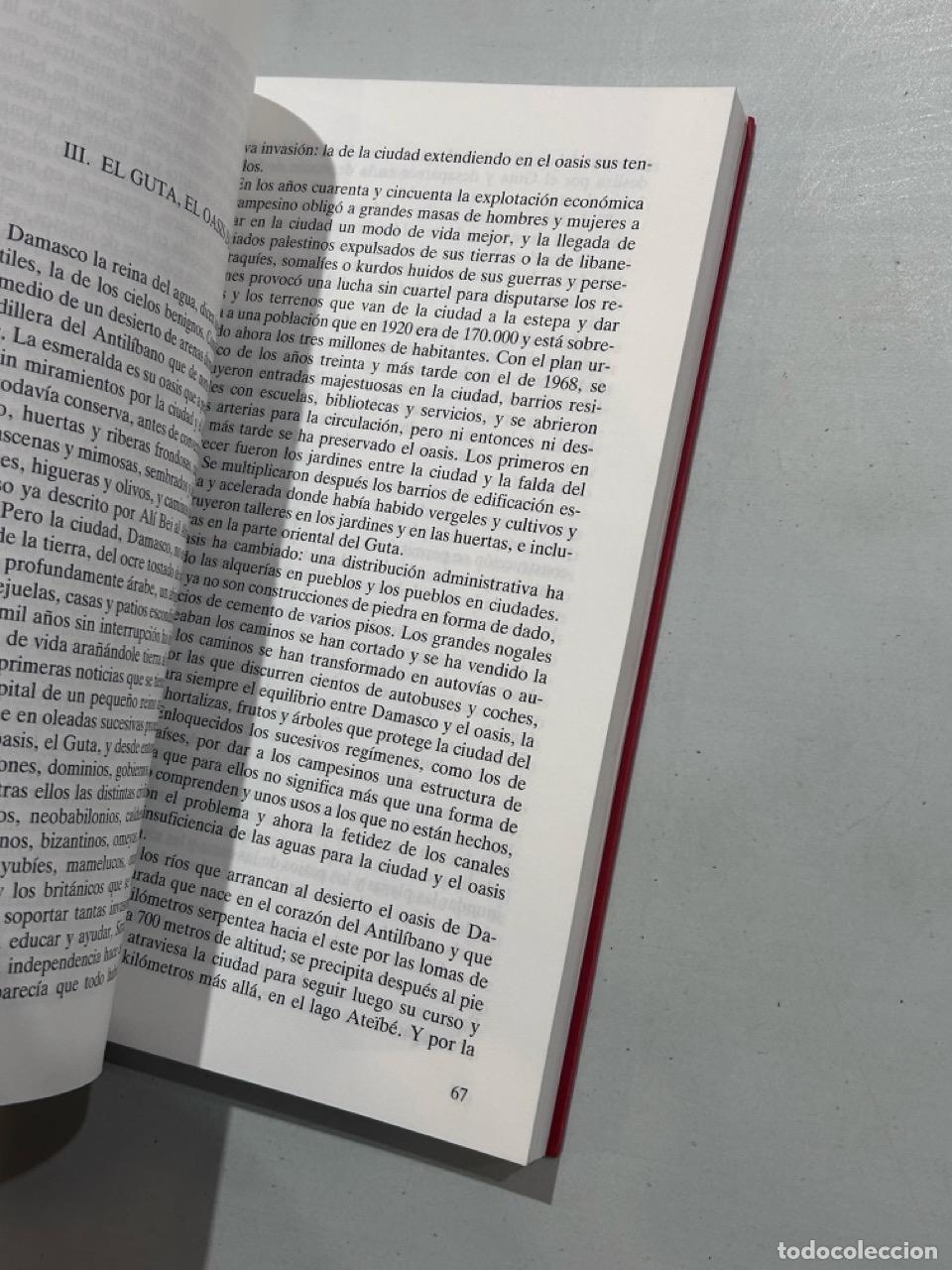 Libros: Rosa Reg&aacute;s - Viaje a la luz del Cham - Foto 2