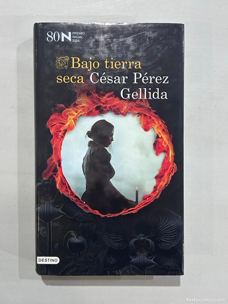 Libros: C&eacute;sar P&eacute;rez Gellida - Bajo tierra seca - Foto 1