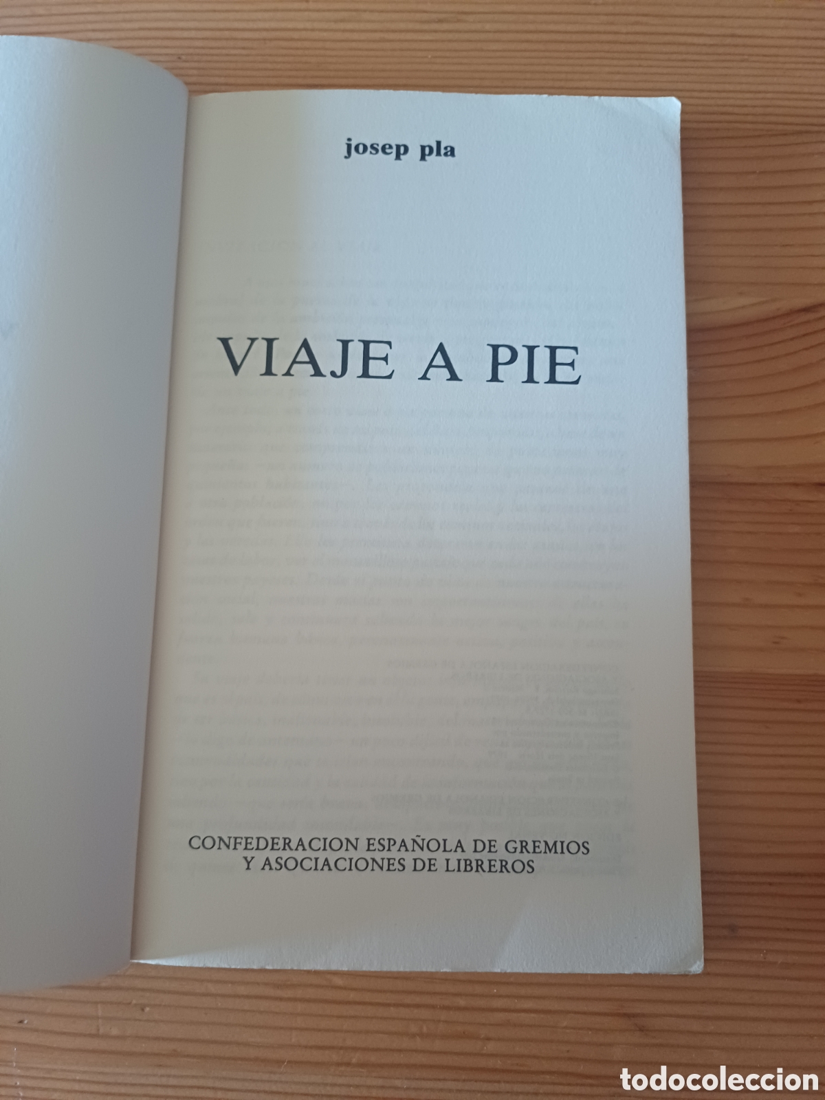 Libros: Viaje a pie Josep Pla - Foto 2