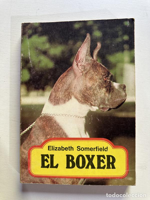 Libros: El boxer - Somerfield Elizabeth - Foto 1