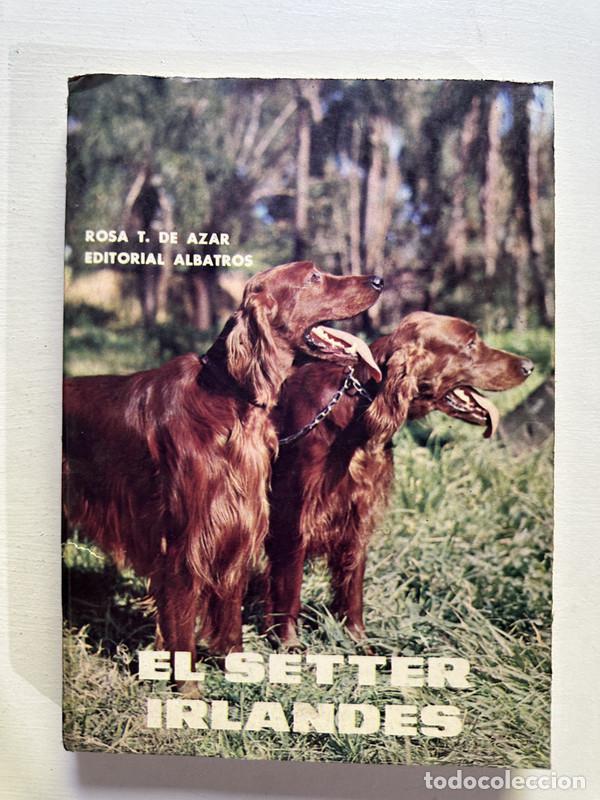 Libros: El setter irlandes - Azar Rosa T. de - Foto 1
