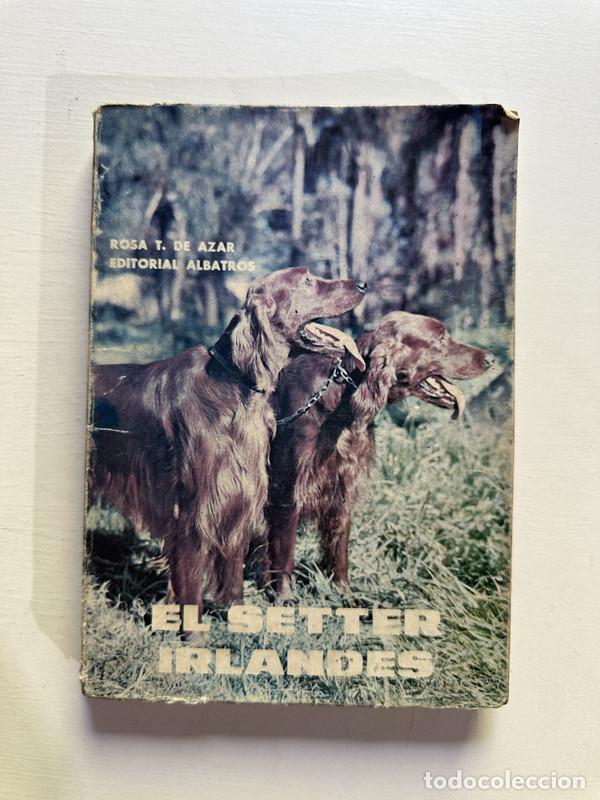 Libros: El setter irlandes - Azar Rosa T. de - Foto 1