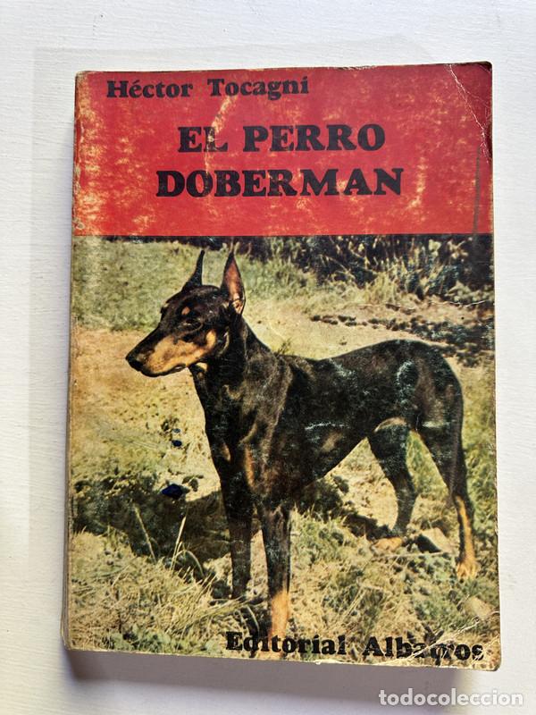 Libros: El perro doberman - Tocagni Hector - Foto 1