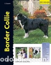 Libros: Border Collie- 9788425513053 - Foto 1
