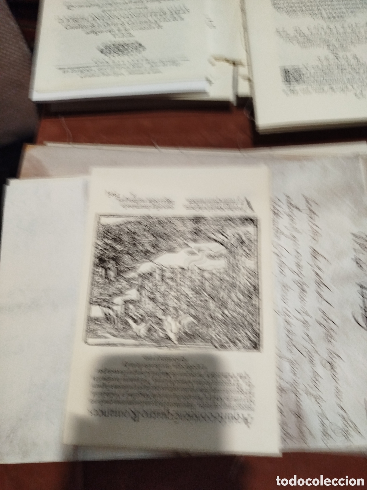 Libros: El cartapacio del cortesano errante - Foto 10