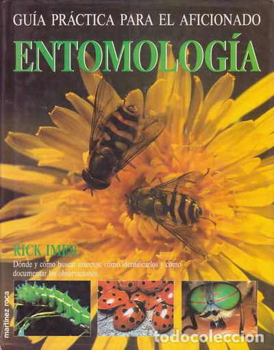 Libros: Entomolog&iacute;a- 9788427017634 - Foto 1