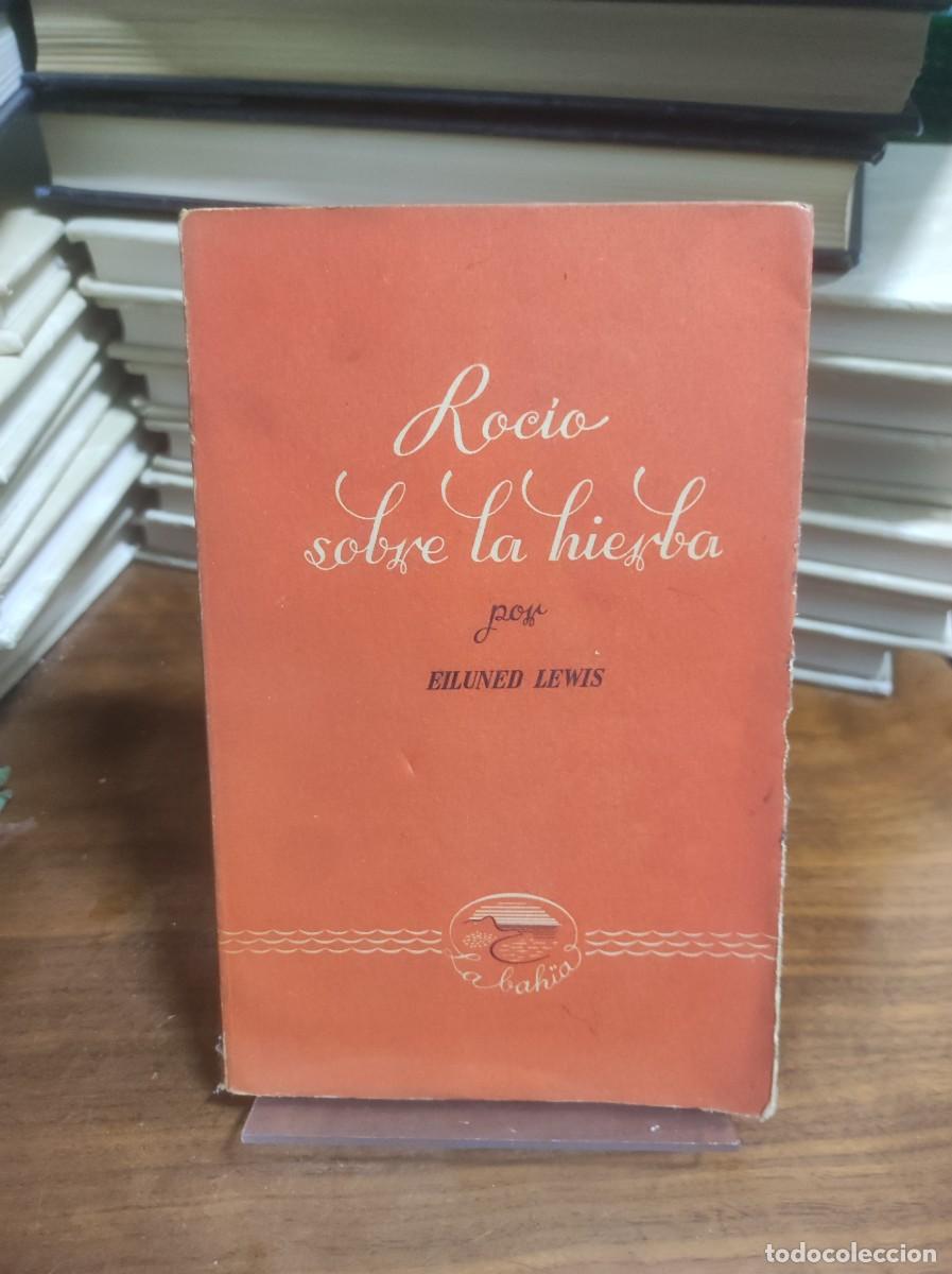 Libros: Roc&iacute;o sobre la hierba Eiluned Lewis - Foto 1