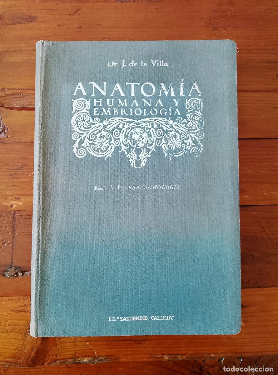 Libros: Juli&aacute;n de la Villa y Sanz - ANATOMIA HUMANA Y EMBRIOLOGIA. Tomo II. Fasciculo V. Esplagnolog&iacute;a