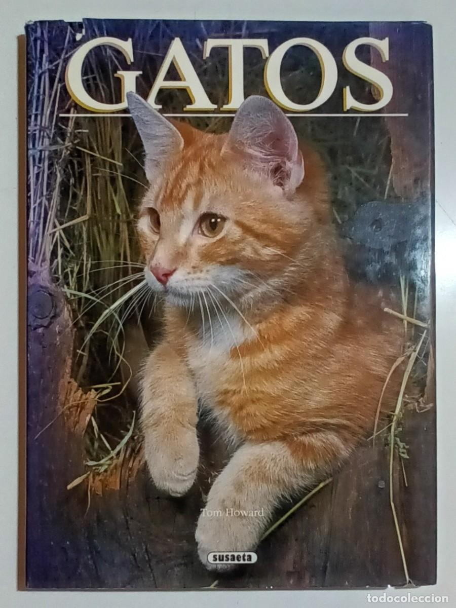 Libros: GATOS - TOM HOWARD - SUSAETA - 1992 - Foto 1