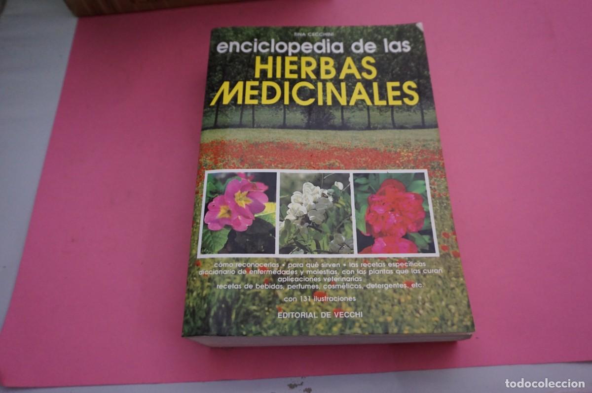 Libros: 9C/ ENCICLOPEDIA DE LAS HIERBAS MEDICINALES - TINA CECCHINI / EDITORIAL DE VECCHI - Foto 1