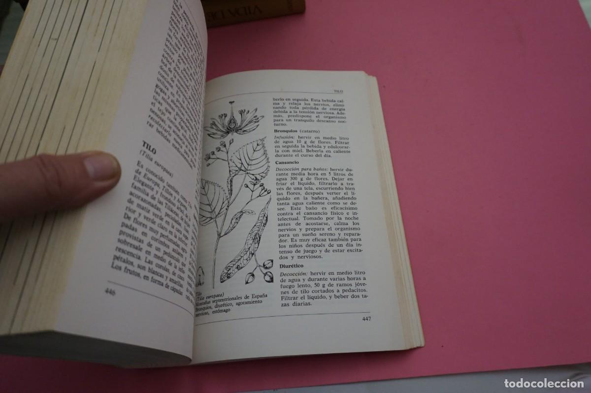 Libros: 9C/ ENCICLOPEDIA DE LAS HIERBAS MEDICINALES - TINA CECCHINI / EDITORIAL DE VECCHI - Foto 3
