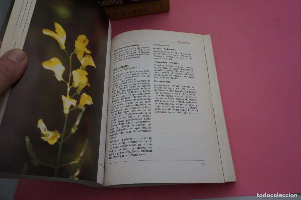 Libros: 9C/ ENCICLOPEDIA DE LAS HIERBAS MEDICINALES - TINA CECCHINI / EDITORIAL DE VECCHI - Foto 5