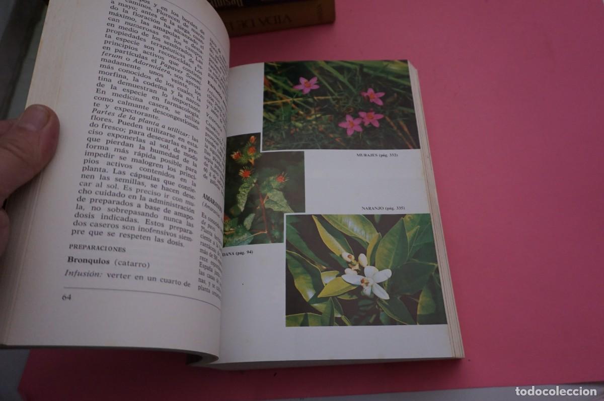 Libros: 9C/ ENCICLOPEDIA DE LAS HIERBAS MEDICINALES - TINA CECCHINI / EDITORIAL DE VECCHI - Foto 6