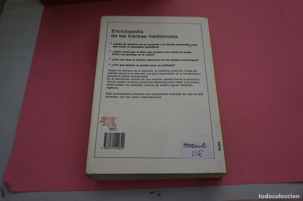 Libros: 9C/ ENCICLOPEDIA DE LAS HIERBAS MEDICINALES - TINA CECCHINI / EDITORIAL DE VECCHI - Foto 7