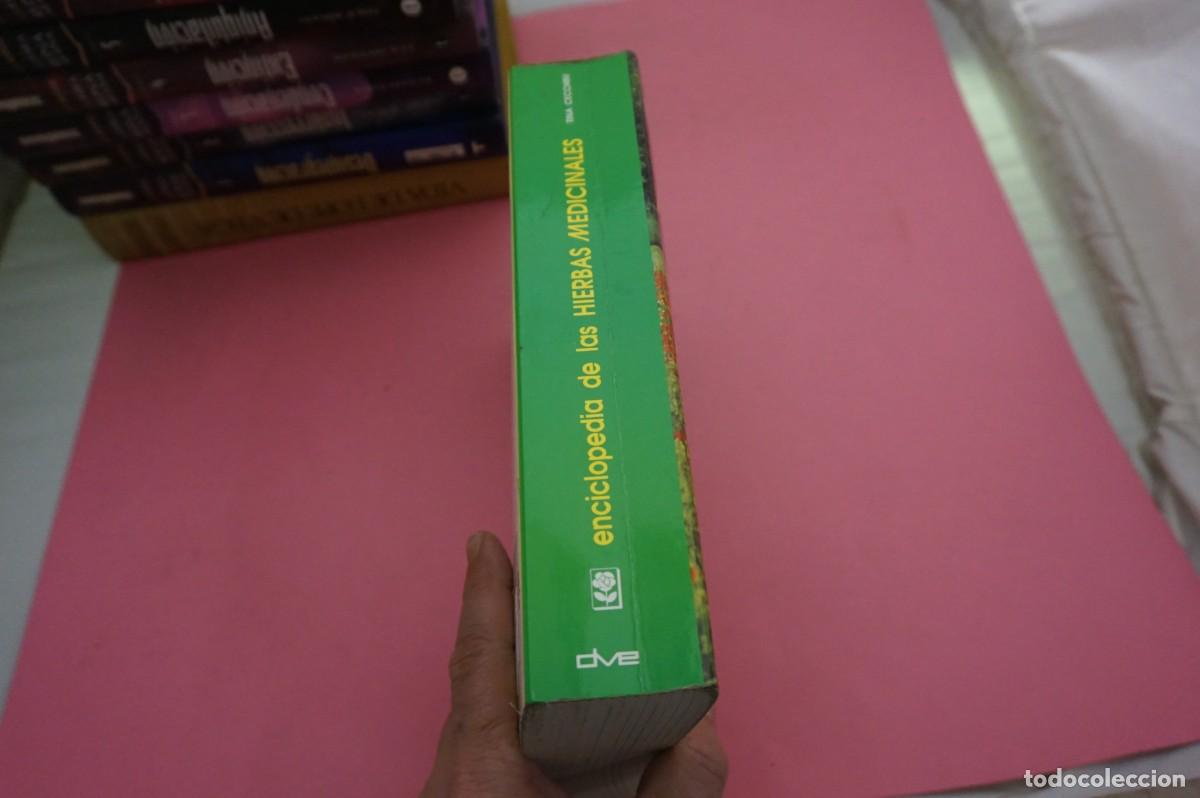 Libros: 9C/ ENCICLOPEDIA DE LAS HIERBAS MEDICINALES - TINA CECCHINI / EDITORIAL DE VECCHI - Foto 8