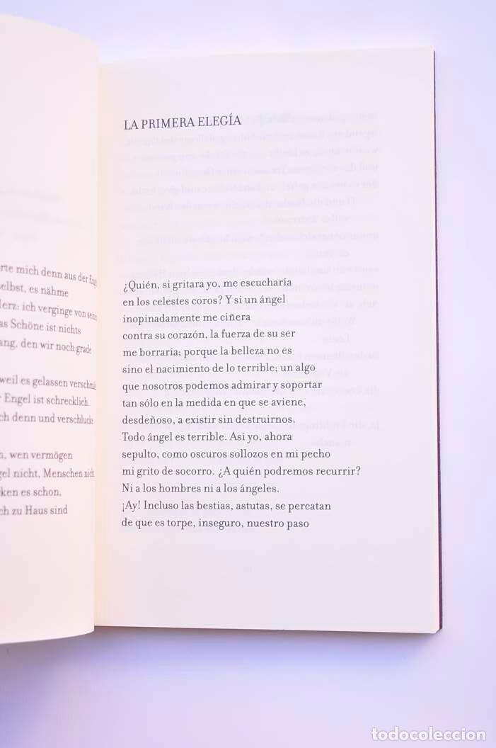 Libros: Eleg&iacute;as de Duino - Duineser Elegien - RILKE, Rainer Mar&iacute;a - Foto 3