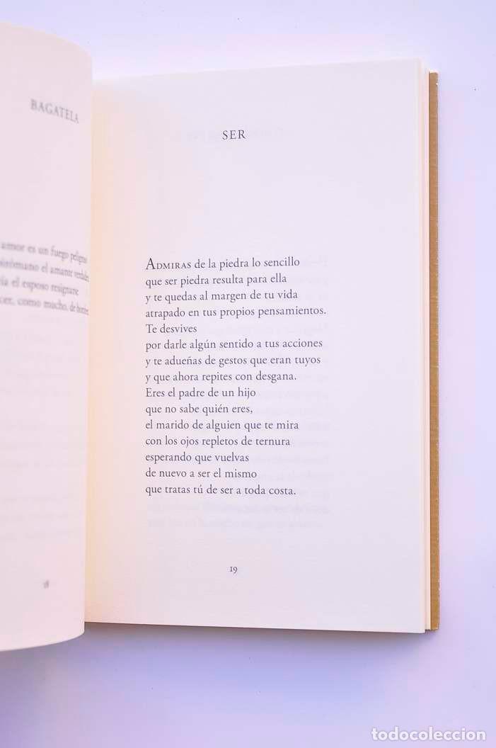 Libros: Sedienta calma - VALD&Eacute;S, Bernardo - Foto 3