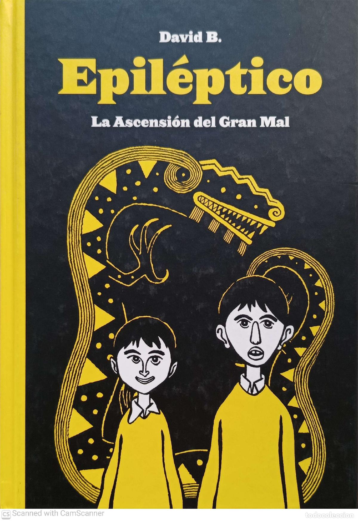 Libros: Epil&eacute;ptico - David B. - Foto 1