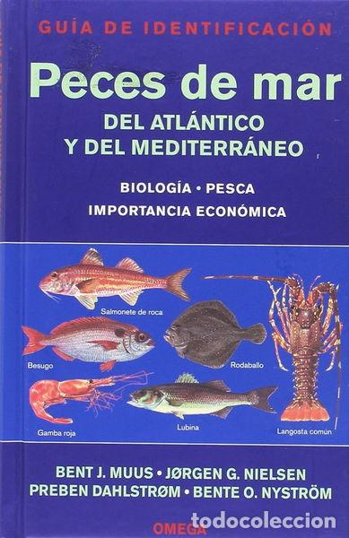 books: Peces de mar. Gu&iacute;a de identificaci&oacute;n- 9788428211611