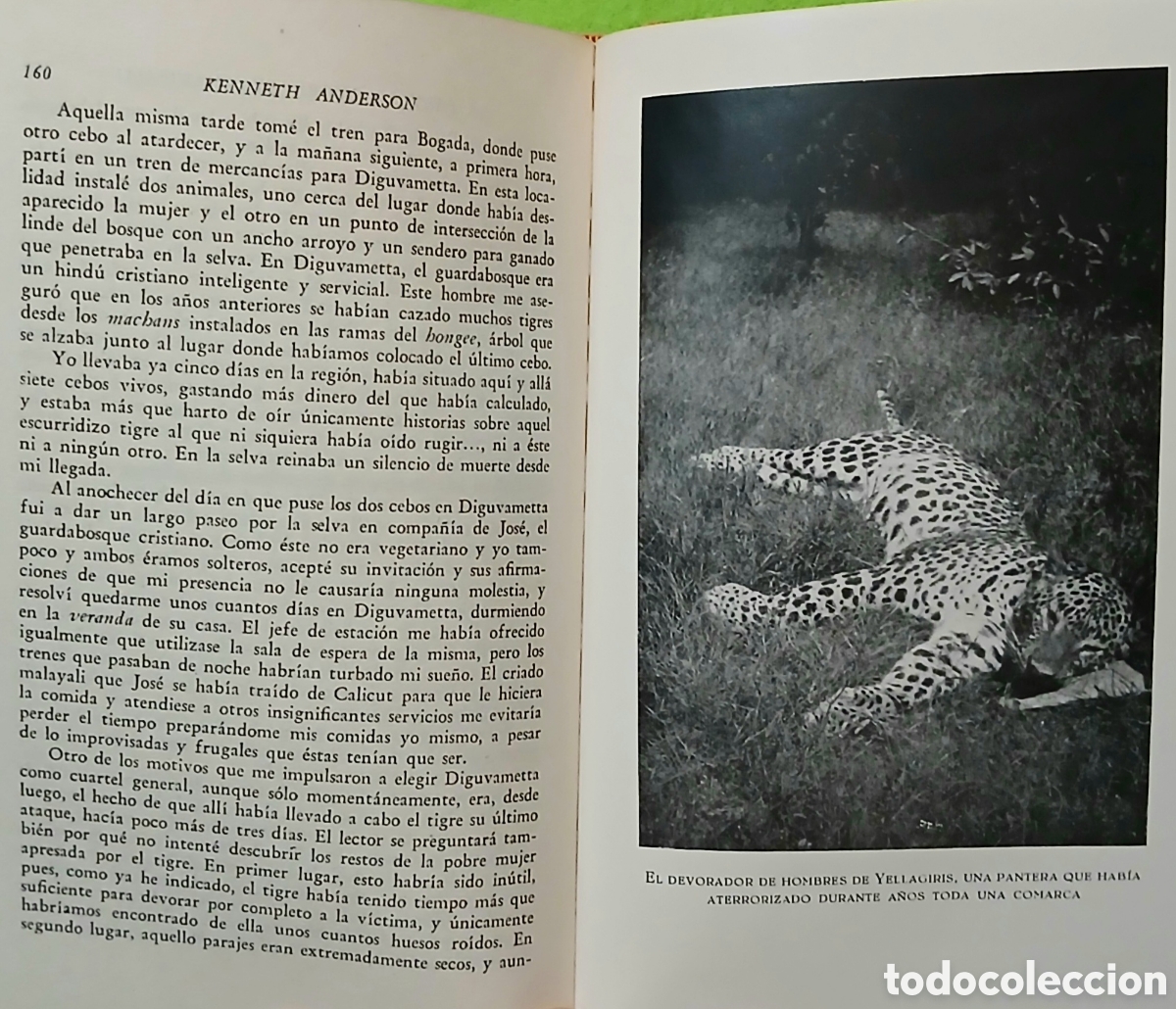 Libros: La pantera negra de sivanipalli - Foto 5