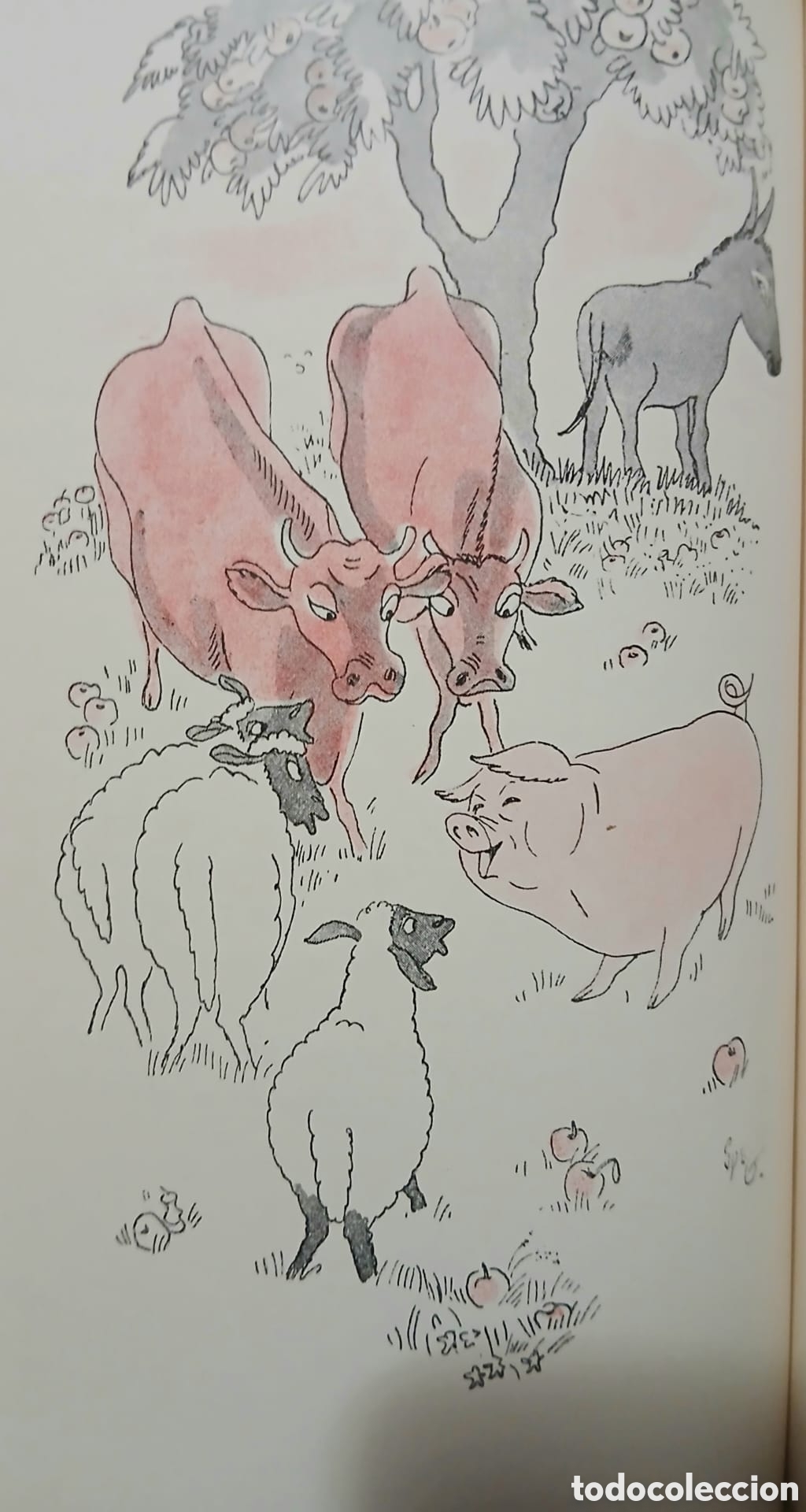 Libros: Kammerat, Napoleon 1a ed.1947 - Foto 8