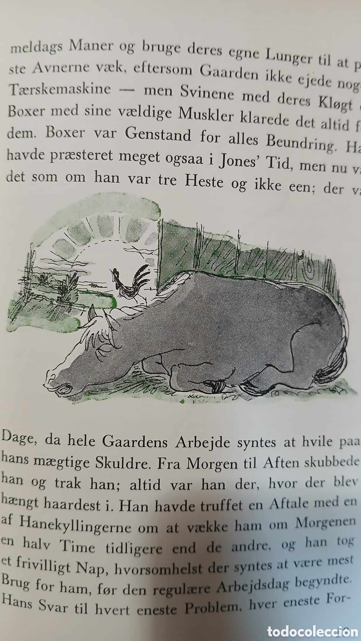 Libros: Kammerat, Napoleon 1a ed.1947 - Foto 9