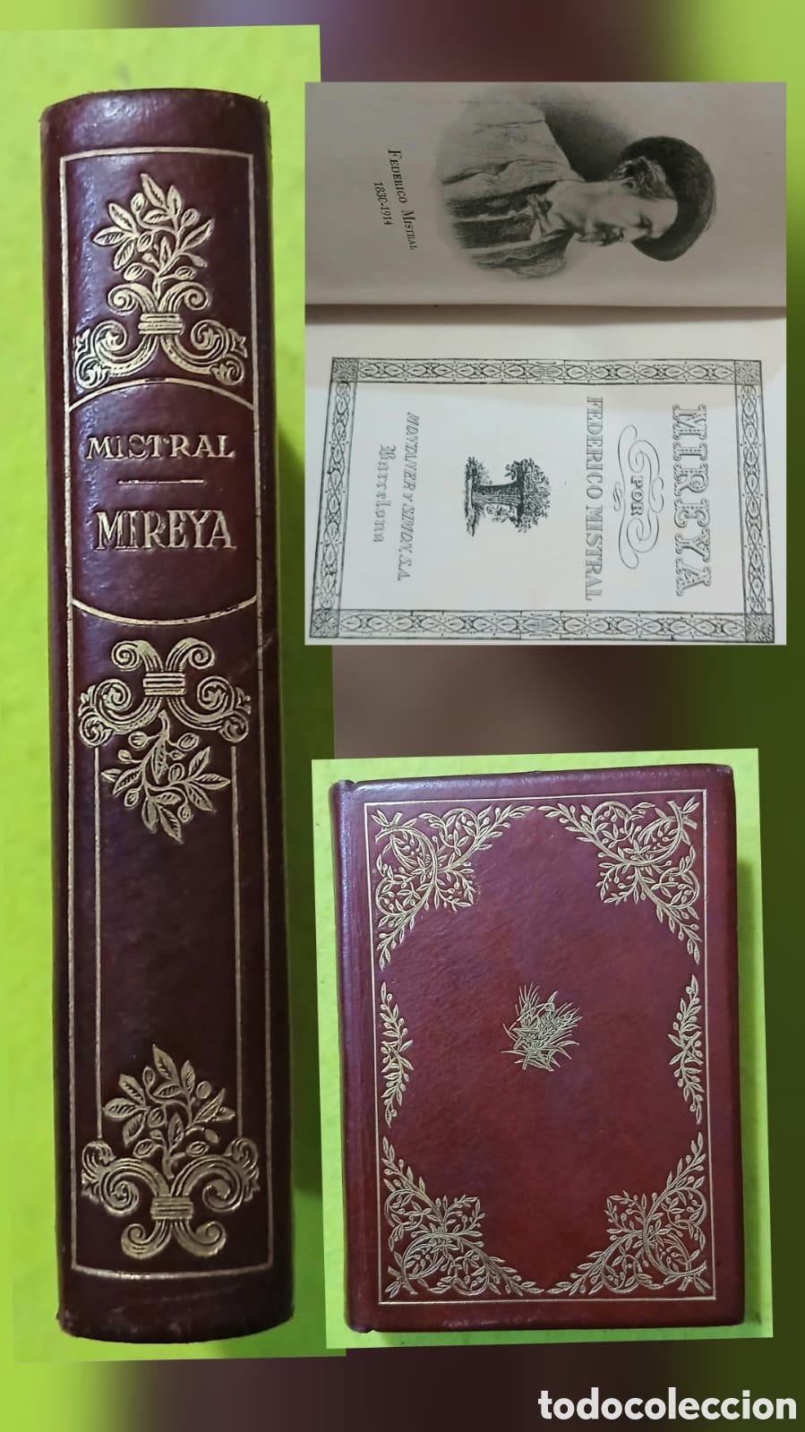 Libros: Mireya, Federico Mistral - Foto 1