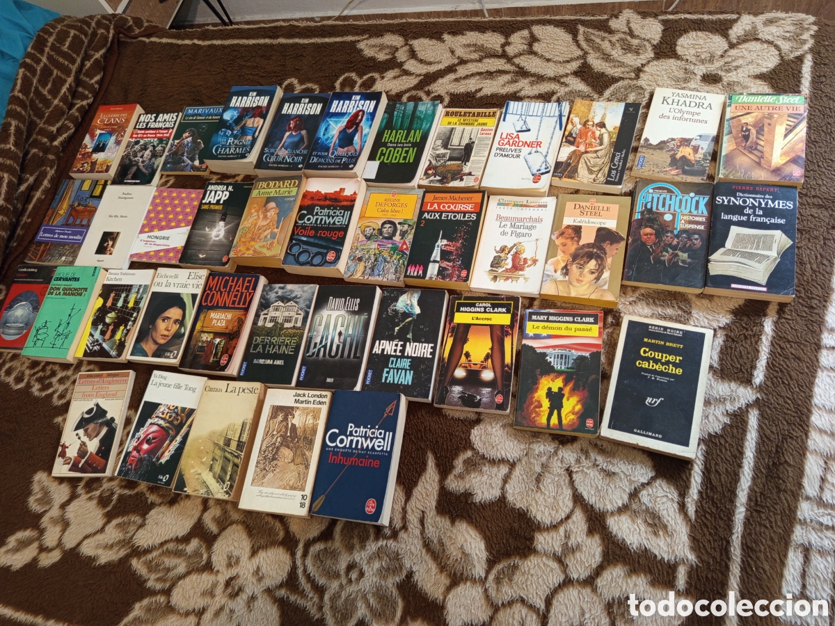 Libros: Lote de 40 libros en franc&eacute;s - Foto 2