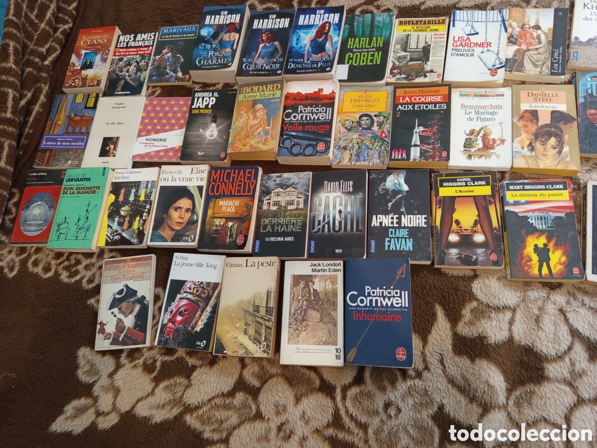 Libros: Lote de 40 libros en franc&eacute;s - Foto 3