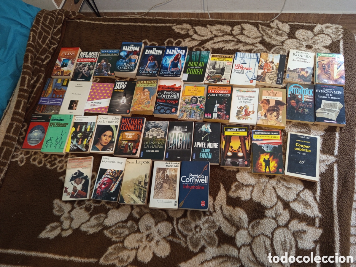 Libros: Lote de 40 libros en franc&eacute;s - Foto 1