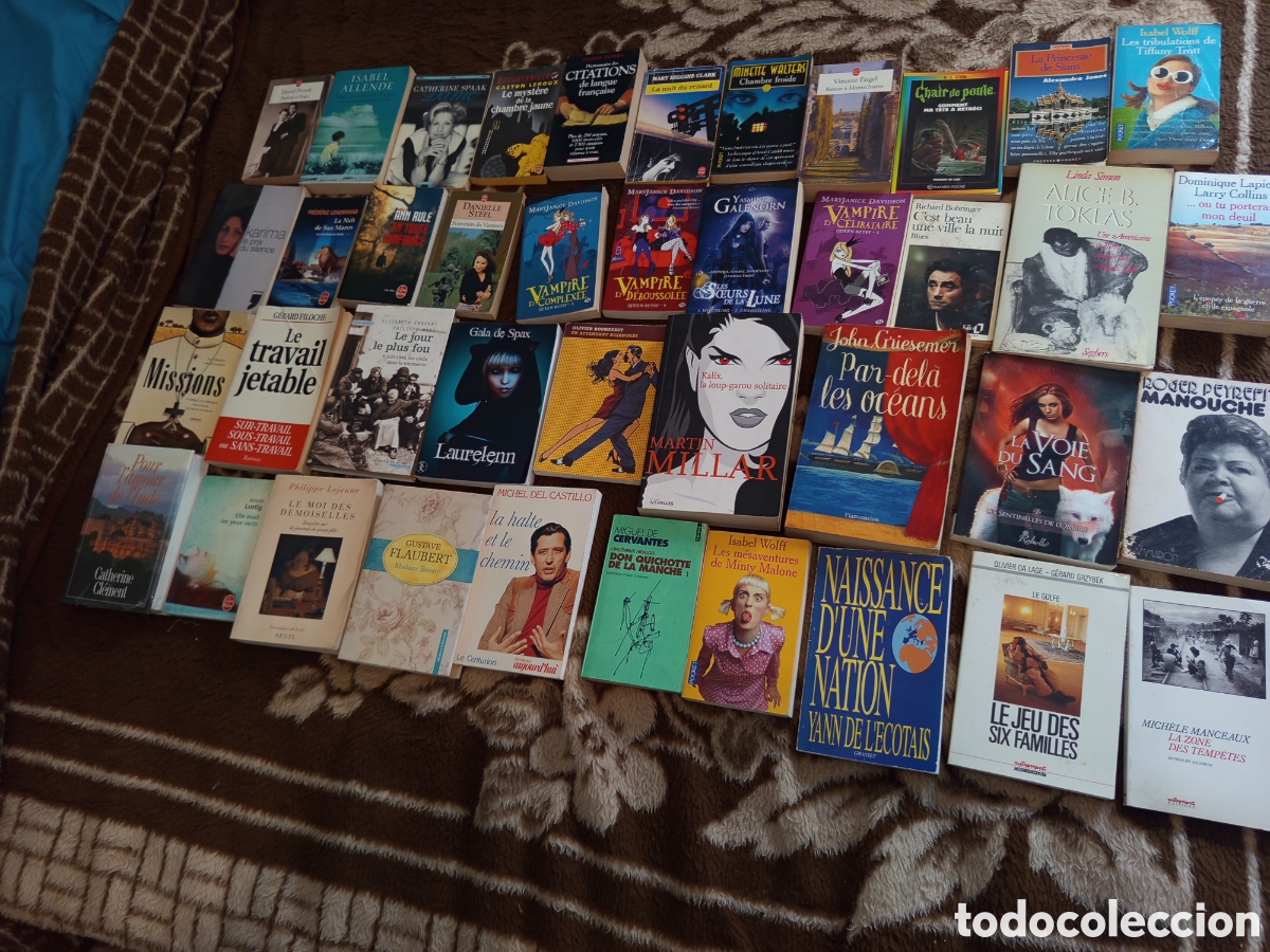 Libros: Lote de 41 libros en franc&eacute;s - Foto 3