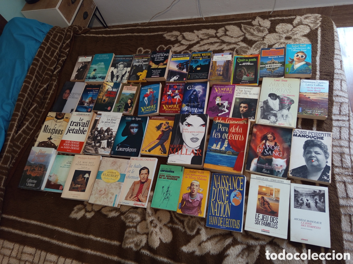 Libros: Lote de 41 libros en franc&eacute;s - Foto 1