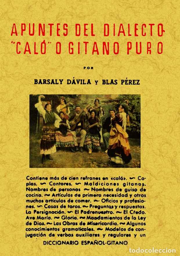 Libros: Apuntes del dialecto cal&oacute; - D&aacute;vila, Barsaly y P&eacute;rez, Blas - Foto 1